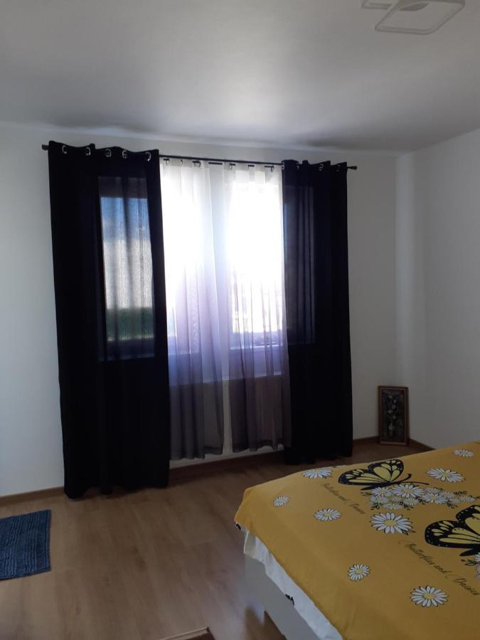 Casa Dana Apartment Hermannstadt